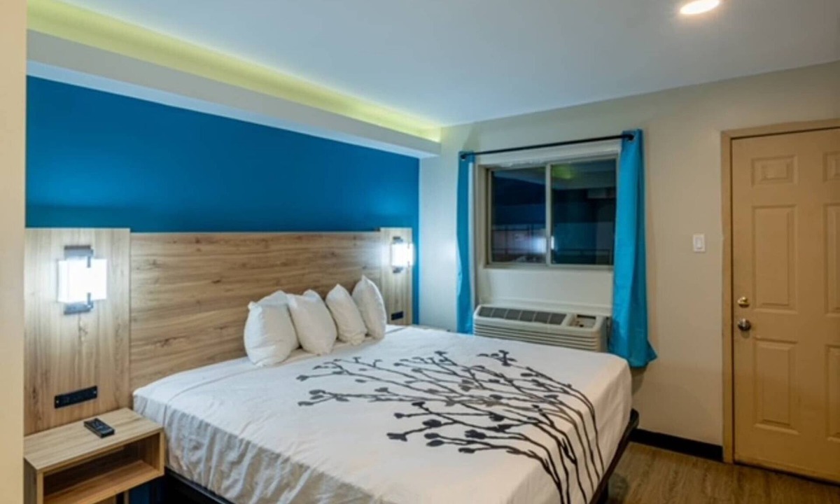 South Arlington Apartment | 1 King Bed|Kitchenette