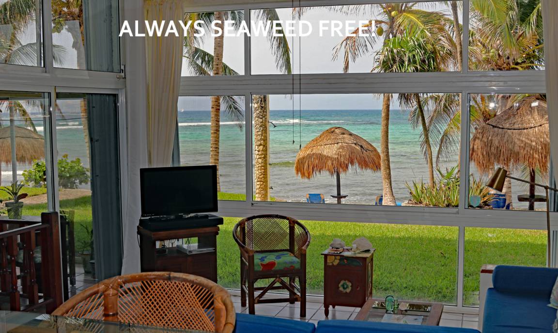 Akumal Condo | 139 m² Condo ∙ 2 bedrooms ∙ 5 guests