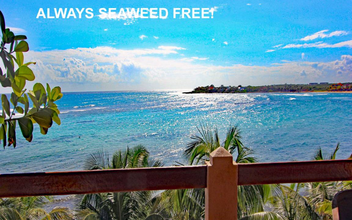 Akumal Condo | 139 m² Condo ∙ 2 bedrooms ∙ 5 guests