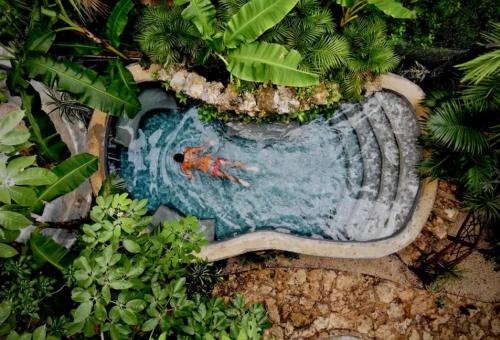 Leona Vicario Cabin | ANAND Ecoaldea