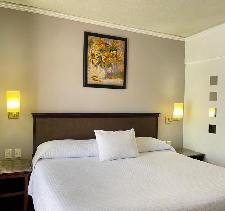 Zacatecas Centro Hotel | Arroyo Express