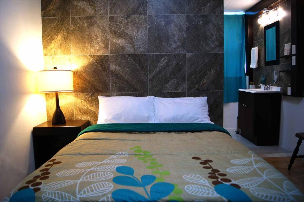 Centro Hotel | Cabo Tortuga Hotel Boutique