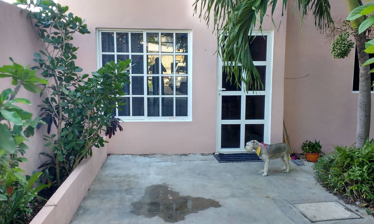 Ejidal House | Casa estilo Mexicano
