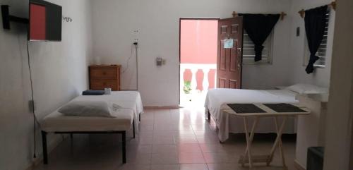 Luis Donaldo Colosio Apartment | Colibri
