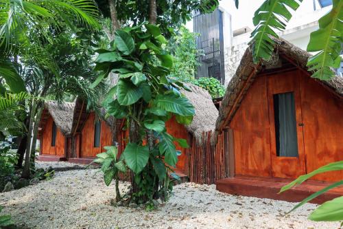 Bacalar Other | El Búho Bacalar Eco-Cabañas Hostal