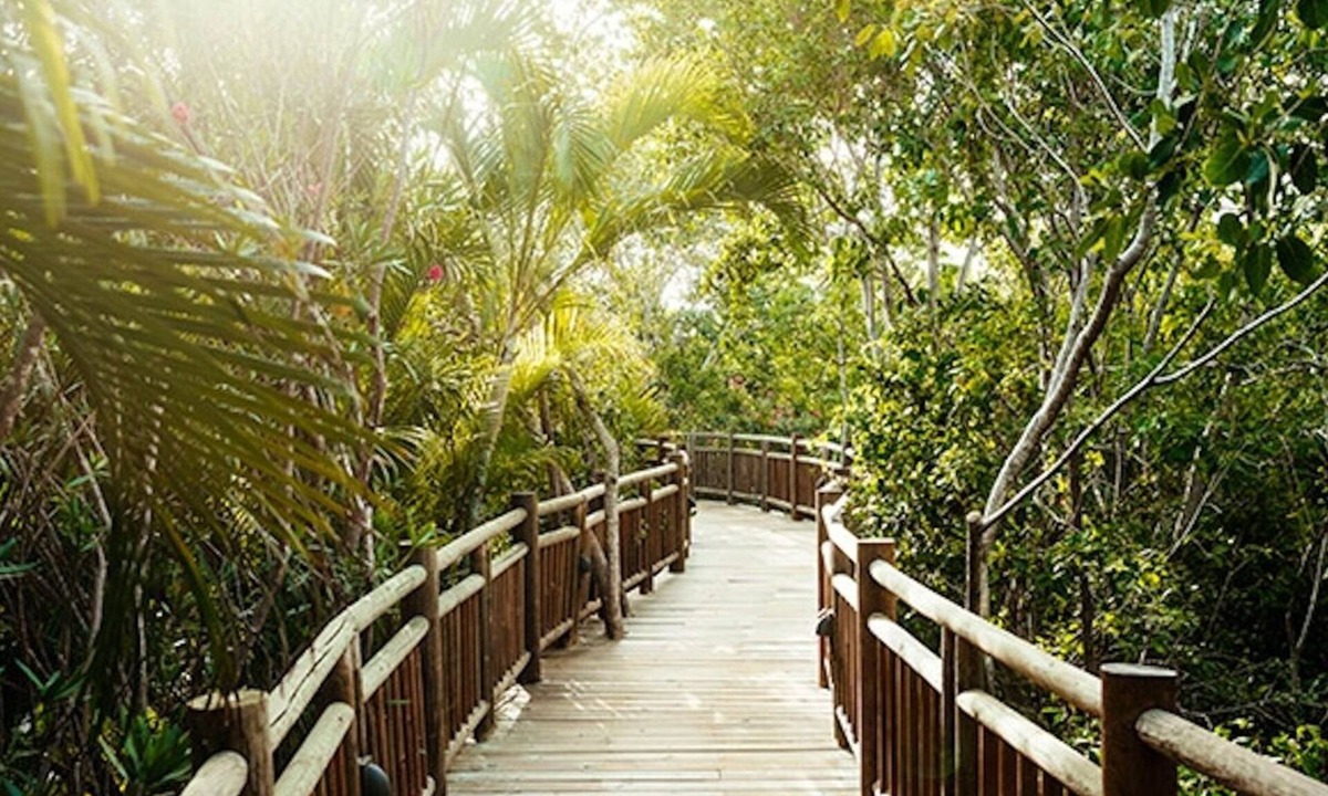 Villa Juarez Resort | Grand Luxxe 2-BD 2.5-BA, Master Villa/sleeps 10/free golf and massages