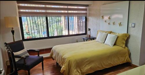 Coyoacan House | Habitación peltre