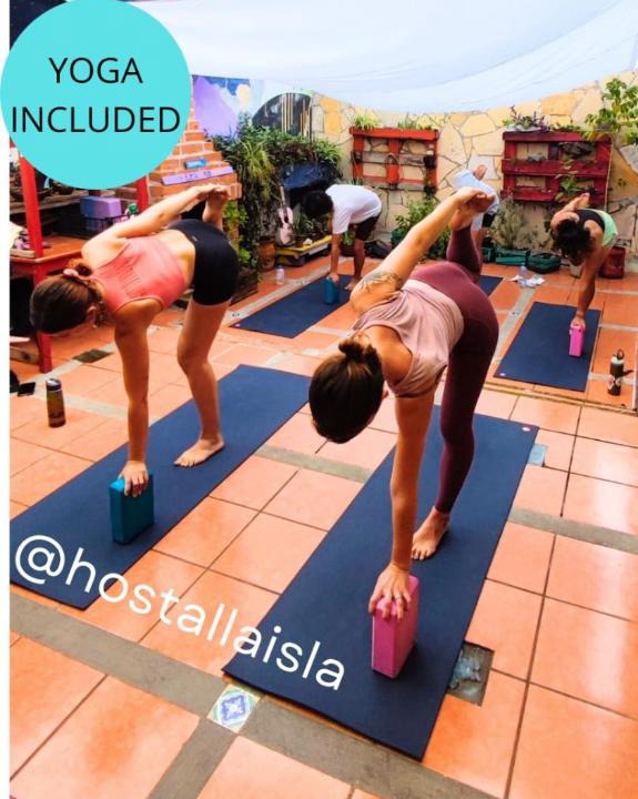 Zona Centro Hostel | Hostal La Isla