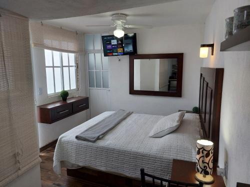 Zacatecas Centro Apartment | Nuevo Depa #7 tipo loft en Planta Alta en Centro Histórico