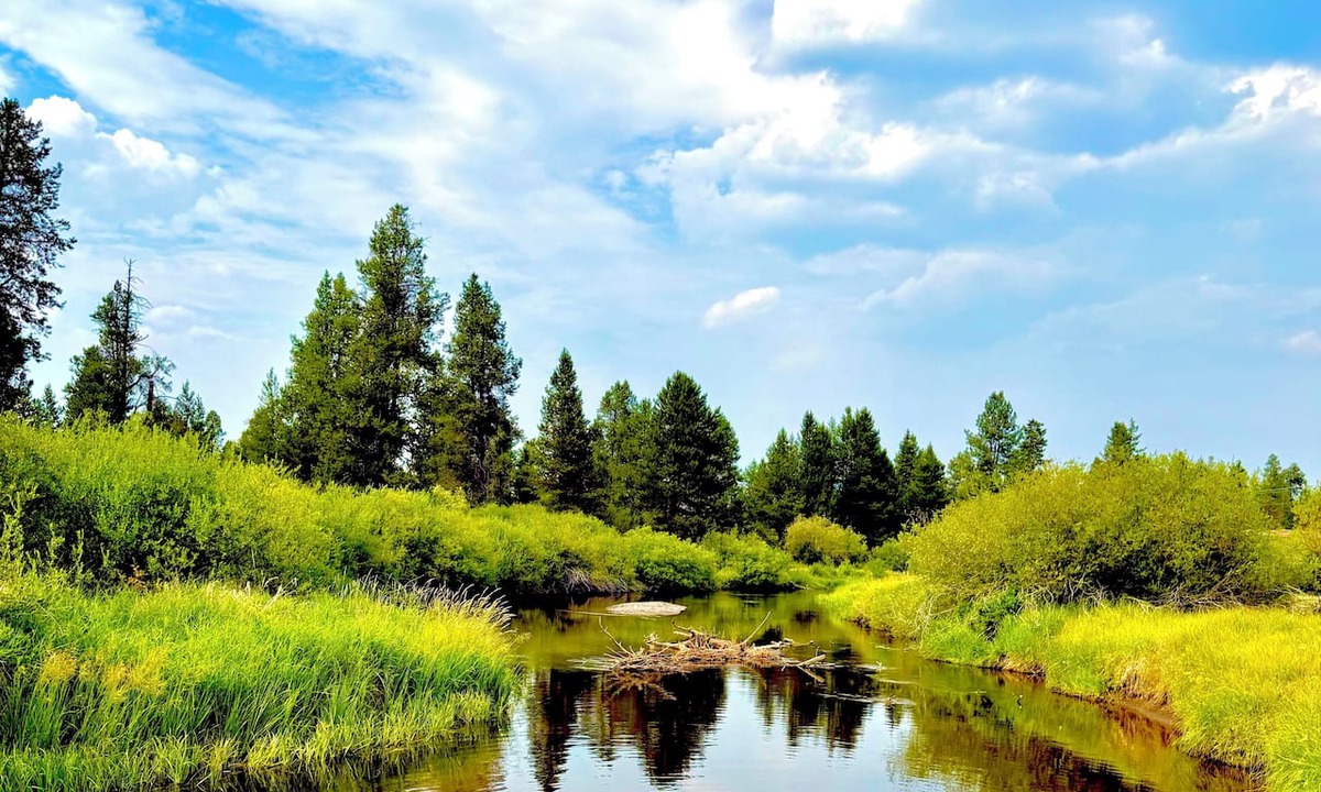 Three Rivers Apartment | Pet Friendly Sunriver getaway backing up to the little Deschutes river!