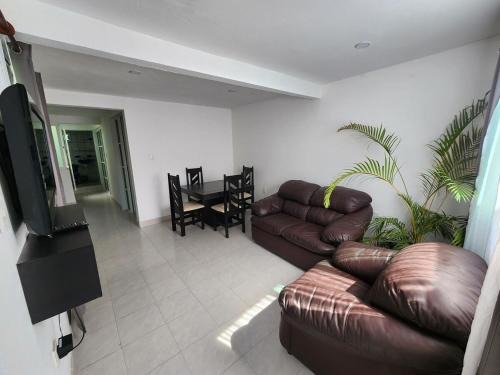 Santa Ursula Coapa Apartment | Suite 2 blocks from Estadio Banorte