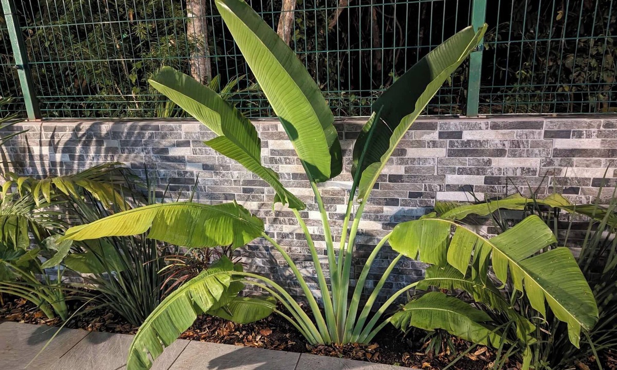Puerto Juarez House | This house is a new, modern, 2 floor house with 2 bedrooms