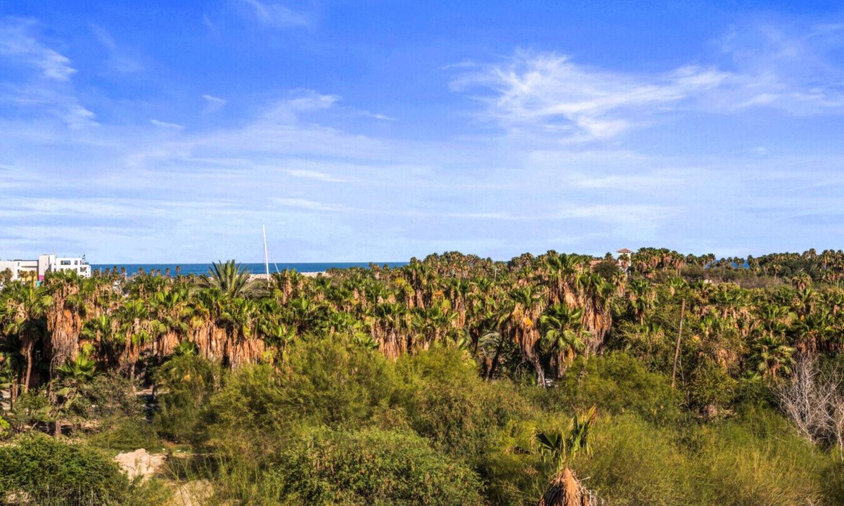 San Jose del Cabo Villa | Tormenta Suites Entire Building 9BR Large Groups