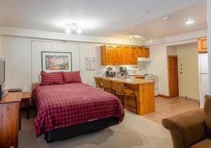 Studio Apartment in Sun Peaks