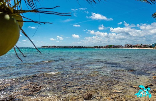 Akumal Condo | 139 m² Condo ∙ 2 bedrooms ∙ 5 guests