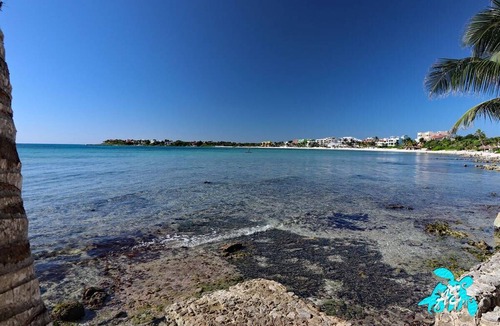 Akumal Condo | 139 m² Condo ∙ 2 bedrooms ∙ 5 guests