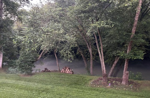 Murphy Cabin | A River Runs Through It! Riverfront relaxation on the Nottely River.