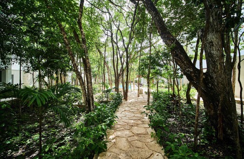 Tulum Apartment | Apartment ∙ 2 bedrooms ∙ 4 guests