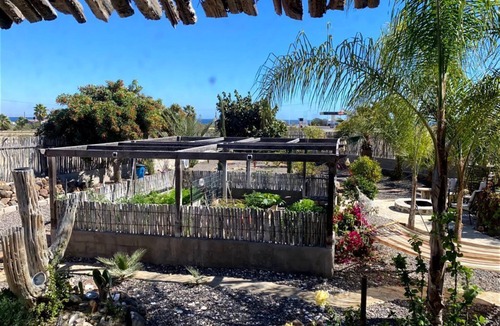 Mulege House | Baja Oceanview 2 br Bungalow with Garden and Patio Paradise for Dogs