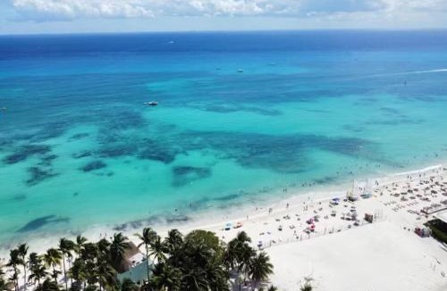 Zazil-ha Apartment | Beach Palm Condo