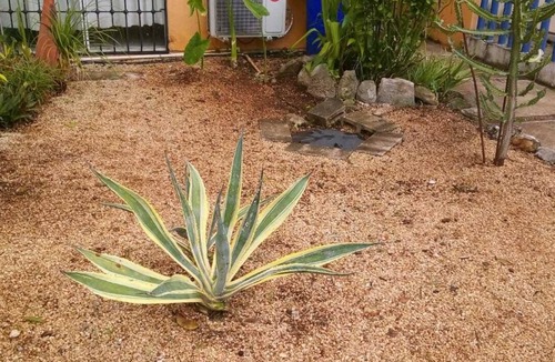 Villa Juarez House | Beautiful 3 bedrooms House, close to Xcalacoco beach in Playa del Carmen.