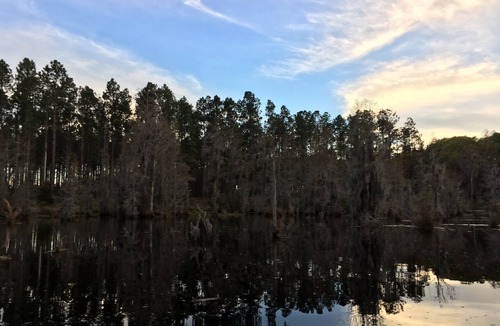 Blackshear House | Blackshear Cabin on the Pond