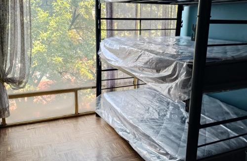 San Miguel Chapultepec Hotel | Bunk bed Apt 1