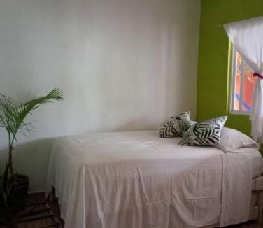 Catemaco House | Casa HecAny