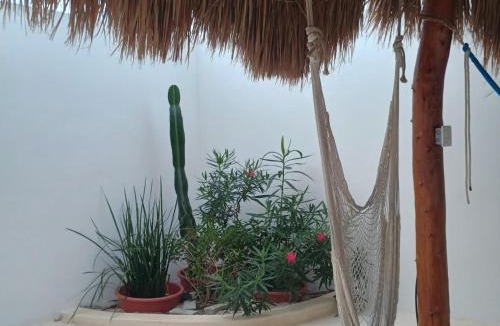 Chelem Apartment | Casa Loto B