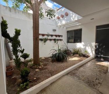 Merida Municipality House | Casa luz