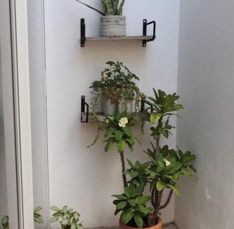 Tuxtla Gutierrez House | Casa Primavera