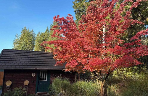 Union Cottage | Charming 1-bedroom cottage in cozy Union perfect for relaxing getaway
