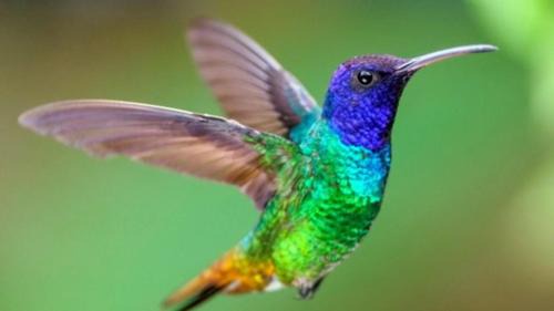 Luis Donaldo Colosio Apartment | Colibri