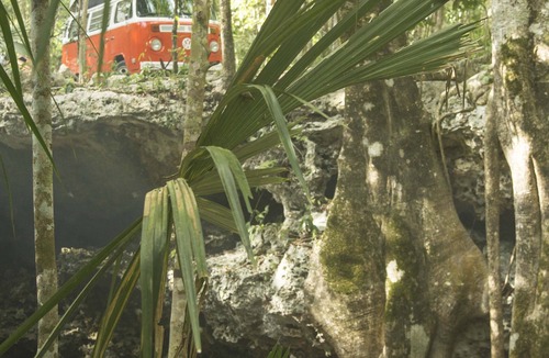 Tulum City Center House | Combi vw westfalia Rental Riviera Maya Tulum