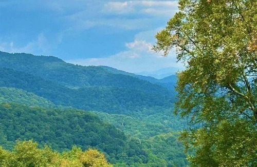 Asheville Cabin | Cozy 3BR/2BA mountain cabin perched at 3600 feet in Western North Carolina.