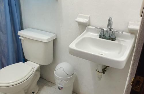 Luis Donaldo Colosio Apartment | Flamingo