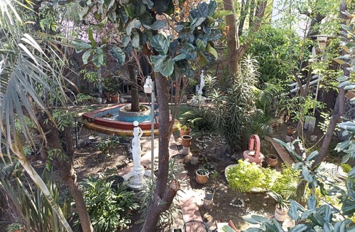 Santa Ursula Coapa Apartment | Garden Suite in an environment of rest and tranquility.