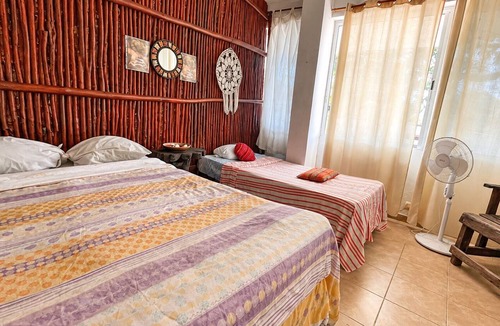 Mario Villanueva Madrid Hostel | Hostal & Camping El Árbol de la Vida.