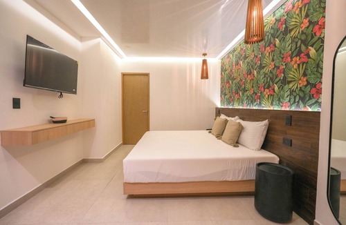 Luis Donaldo Colosio Hotel | Hotel Macondo Quinta Avenida by Ruha