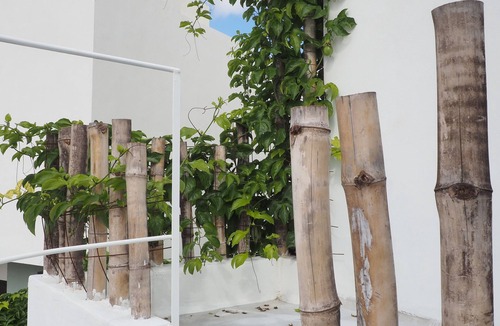 Fraccionamiento Las Americas Apartment | Independent minimalist study close to everything