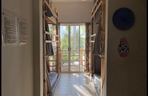Brisas de Zicatela Hostel | La Palmera Hostel