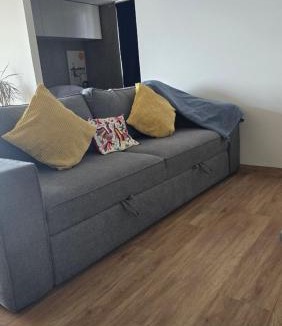 Roma Sur Apartment | Loftromasurteocelo