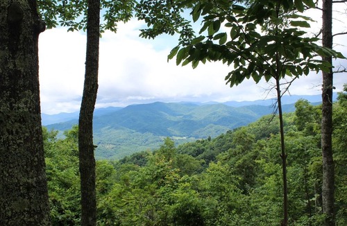 Clyde House | Long Range Unobstructed Mountain Views in a Well Appointed Home