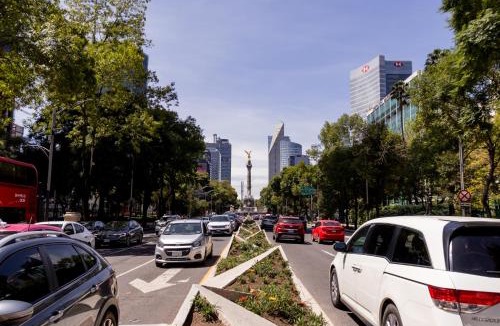 Zona Rosa Apartment | Mexico City Best Location Master Suite with Air Conditioner