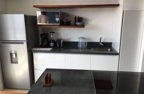 Zazil-ha Apartment | New Luxury Apartment on 5th Ave, Wifi, close to beach, Parking & Rooftop Pool