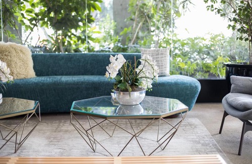 Miguel Hidalgo Apartment | Polanco LiveMexicoCity
