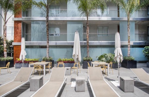 Miguel Hidalgo Apartment | Polanco LiveMexicoCity