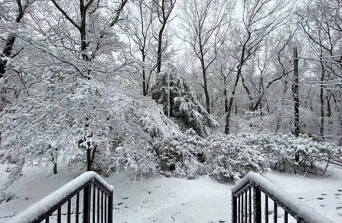 Commack Cabin | Private Cabin in Multi Acre Park!