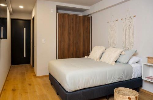 Colonia Roma Apartment | Roma Norte Loft Walk to Condesa