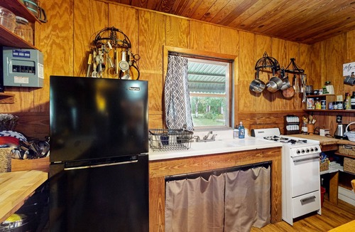 Bronson Cabin | Rustic riverfront cabin with views, firepit, grill, canoe, kitchen, & W/D